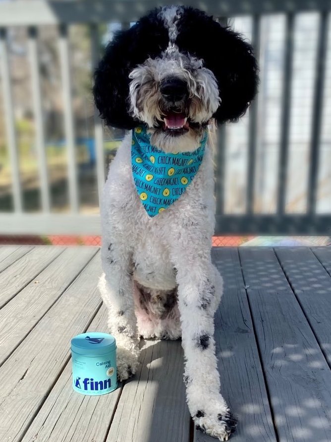 Mondays can be so stressful for our pups after a weekend full of play time and attention🎾🐕 That’s why we recommend Calming Aid to keep your pup’s mind at ease while you’re away! 

Click the link in our bio to learn more #FinnForTheWin #MondayMotivation