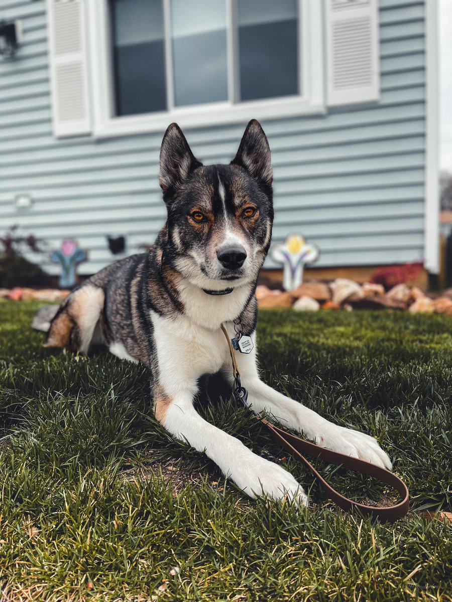 The Sibe + The Terv tweet media