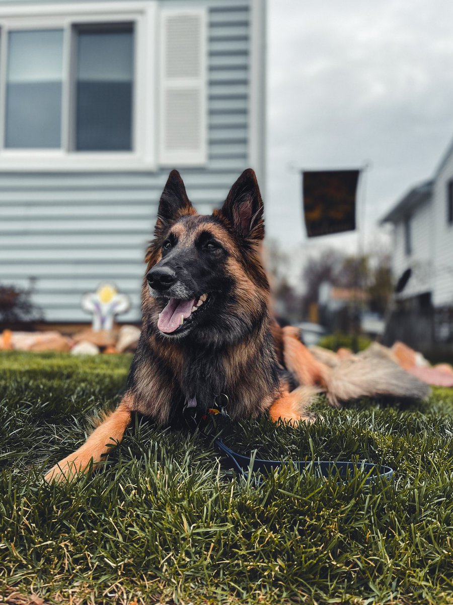 The Sibe + The Terv tweet media