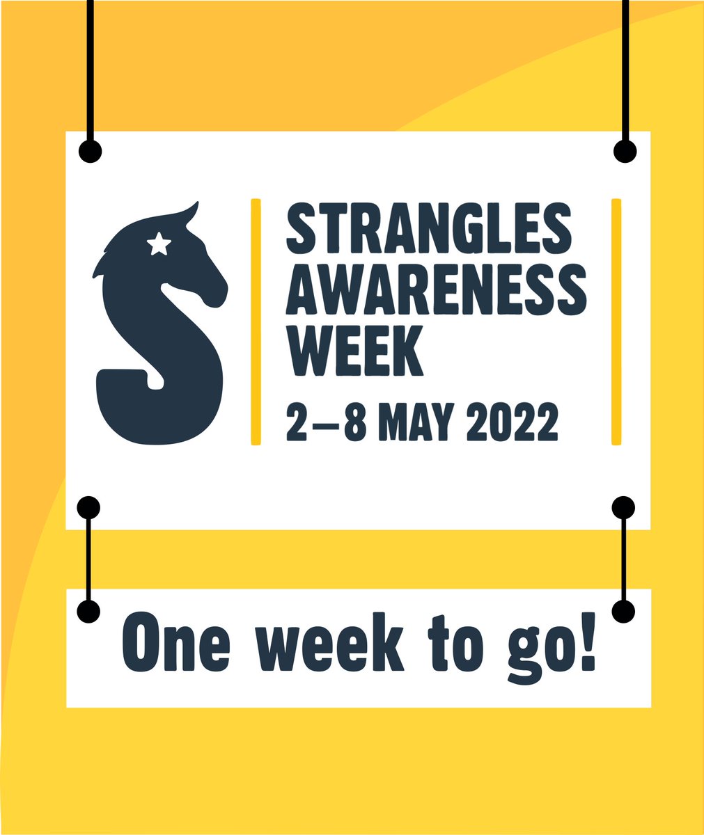 StranglesWeek's tweet image. Just one week to go! Get your thermometers at the ready for the #SAW2022 Temp Check Challenge!
Please note that delivery can take up to 5 days so make sure to get yours today and use voucher code SAW2022 to get free P&amp;amp;P! 📦
redwings.org.uk/shop/saw2022th…
#SAW2022 #TempCheckChallenge