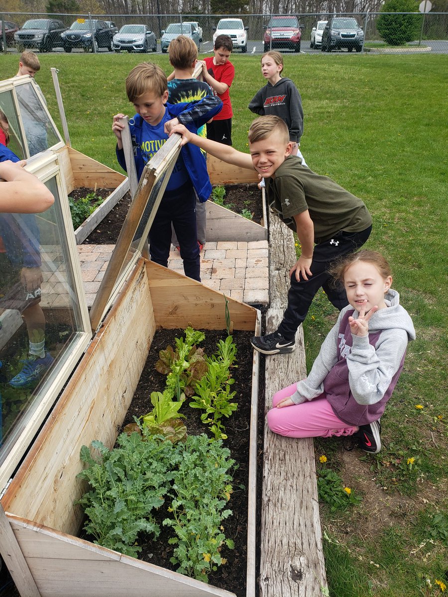MichaelDoutrich's tweet photo. Garden happenings https://t.co/5gbt2OSh9b