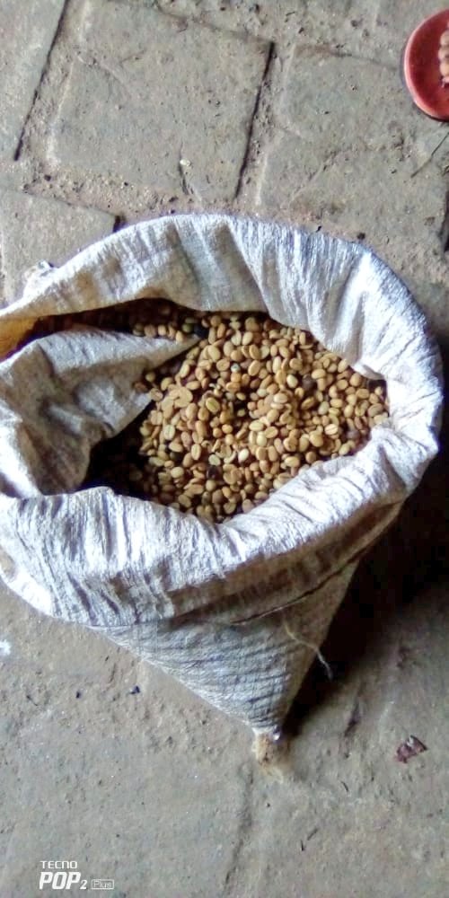 KayanzaProvince's tweet photo. #Burundi Les policiers basés sur la colline #Rukere en commune #Kabarore de @KayanzaProvince ont saisi 20kg de café cerise et 5kg de café parche. Celui qui transportait ce café a réussi à prendre le large. https://t.co/b8oh1S46ku