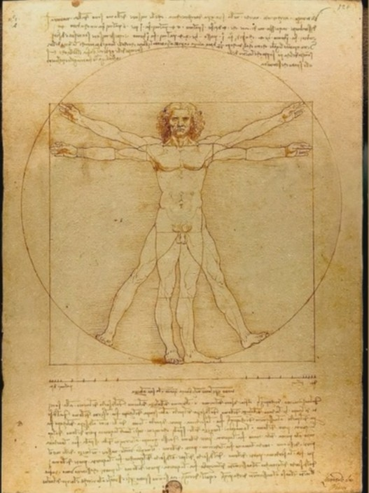 Marc-Aurélien Chardine tweet media