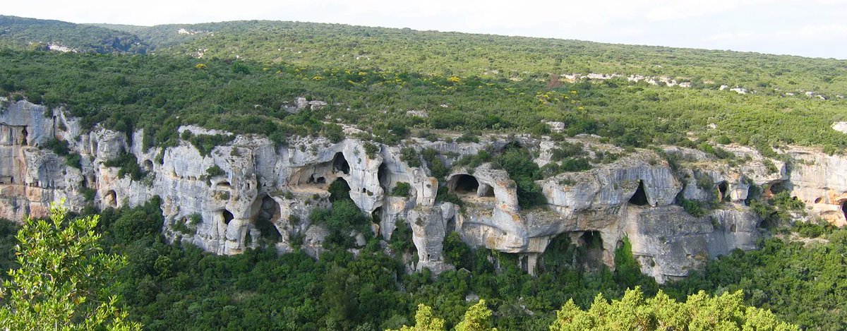 b_tee_'s tweet photo. @GEO101SUNY  The caves of a karst landscape located in Minerve, Hérault, France. https://t.co/uRfPi8kHvA