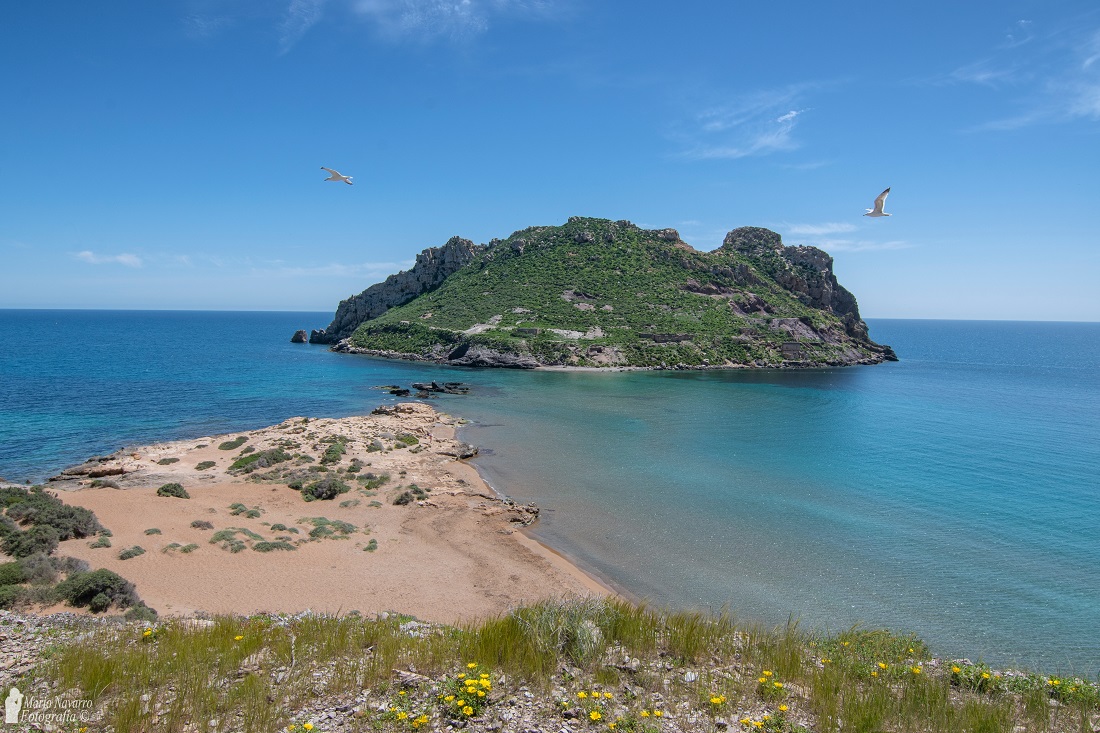 Mario17N's tweet photo. Las abundantes lluvias de marzo y abril dejan una estampa como pocas veces se ve en esta tierra.
La isla del Fraile tapizada de verde. Águilas https://t.co/xkPj7SYvuQ