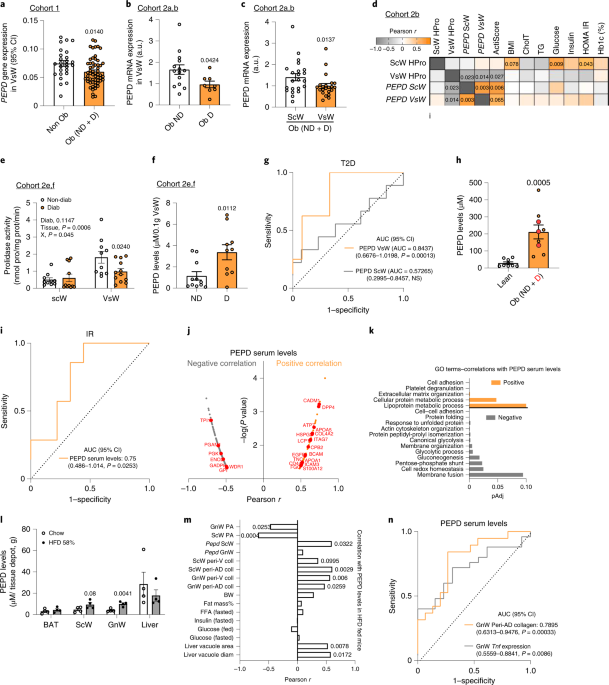 Online now! Dysregulation of macrophage PEPD in obesity determines adipose tissue fibro-inflammation and insulin resistance dlvr.it/SPCypC
