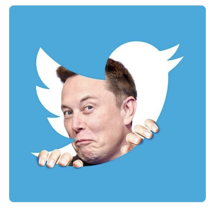 Verde505's tweet photo. #RIPTwitter 
More like #RIPbots #RIPAlgorithms https://t.co/fPFd1A3EGL