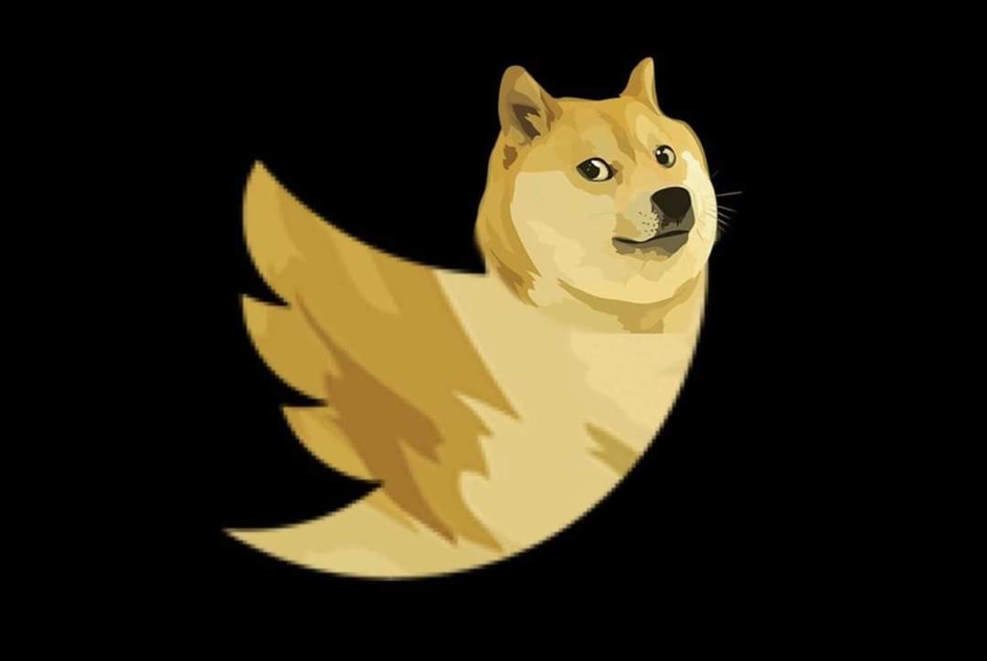 ArtCreatology's tweet photo. @dogecoin https://t.co/5uh2dpP0HJ