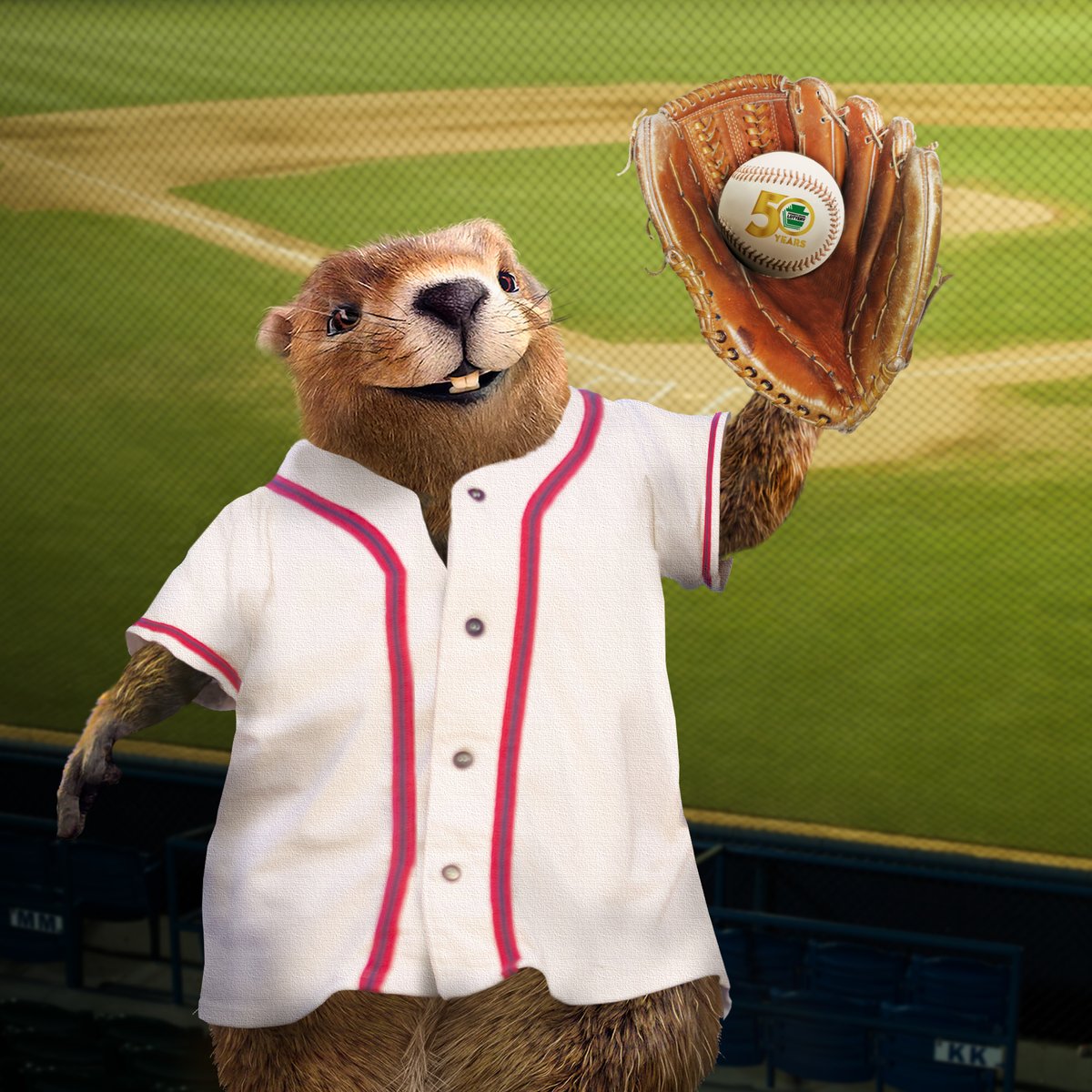 gus the groundhog stuffed animal