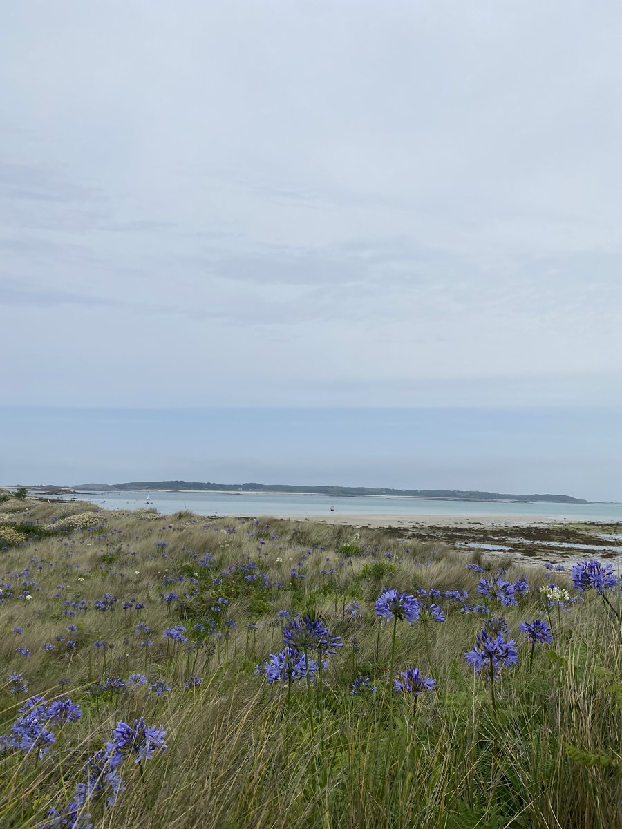 IOSTravel's tweet photo. You will be surprised with what you can fit into a day on the island!

Find out what @Uniquehideaways got up to when they visited for a Scillonian Day trip last year.

https://t.co/fsgt4kdlmP

#SMagazine #IOSTmagazine #IslesOfScilly #ScillyDayTrips

Photo credit: Unique hideaways https://t.co/I0XC7JV0CY
