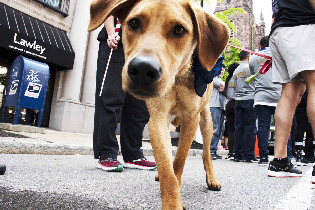 Envision your new career...with Lawley!
A U.S. Top Insurance Broker &amp; a Best Places to Work Award Winner. 

Bonus: Sometimes, dogs stop by our office

Live our motto: Work Hard, Play Hard 
And our values: Commitment to Our Communities &amp; Passion

Apply: ow.ly/FPWV50IRgIO