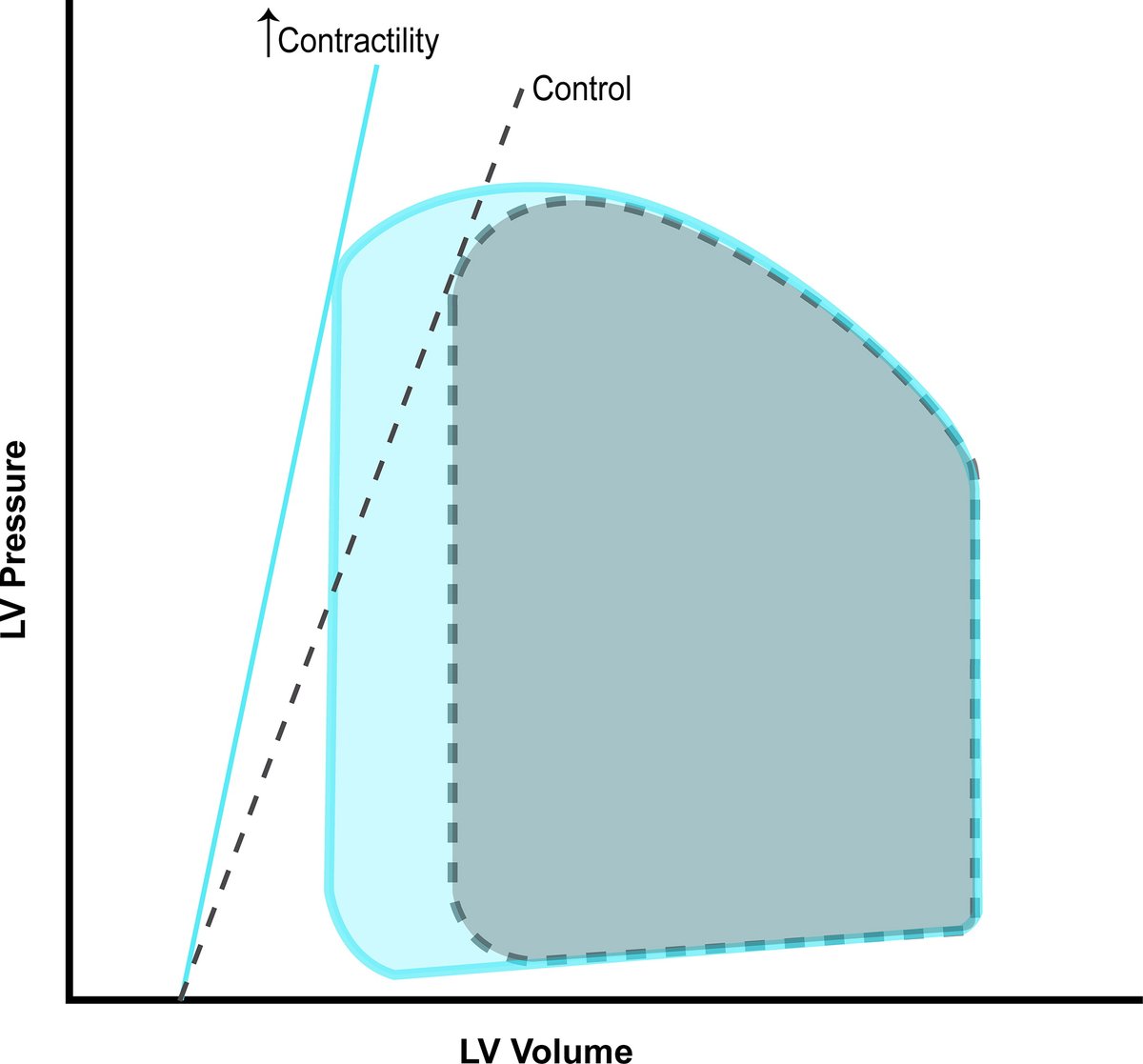 AdvPhysiolEduc's tweet photo. Stay current with this brief review geared toward #medstudents and #gradstudents on effector mechanisms in the #baroreceptor control of #BloodPressure ๐ https://t.co/8lQsfgT7hK
@UCalgaryMed @LibinInstitute @UAlberta_DoM https://t.co/iibQBhEcUL