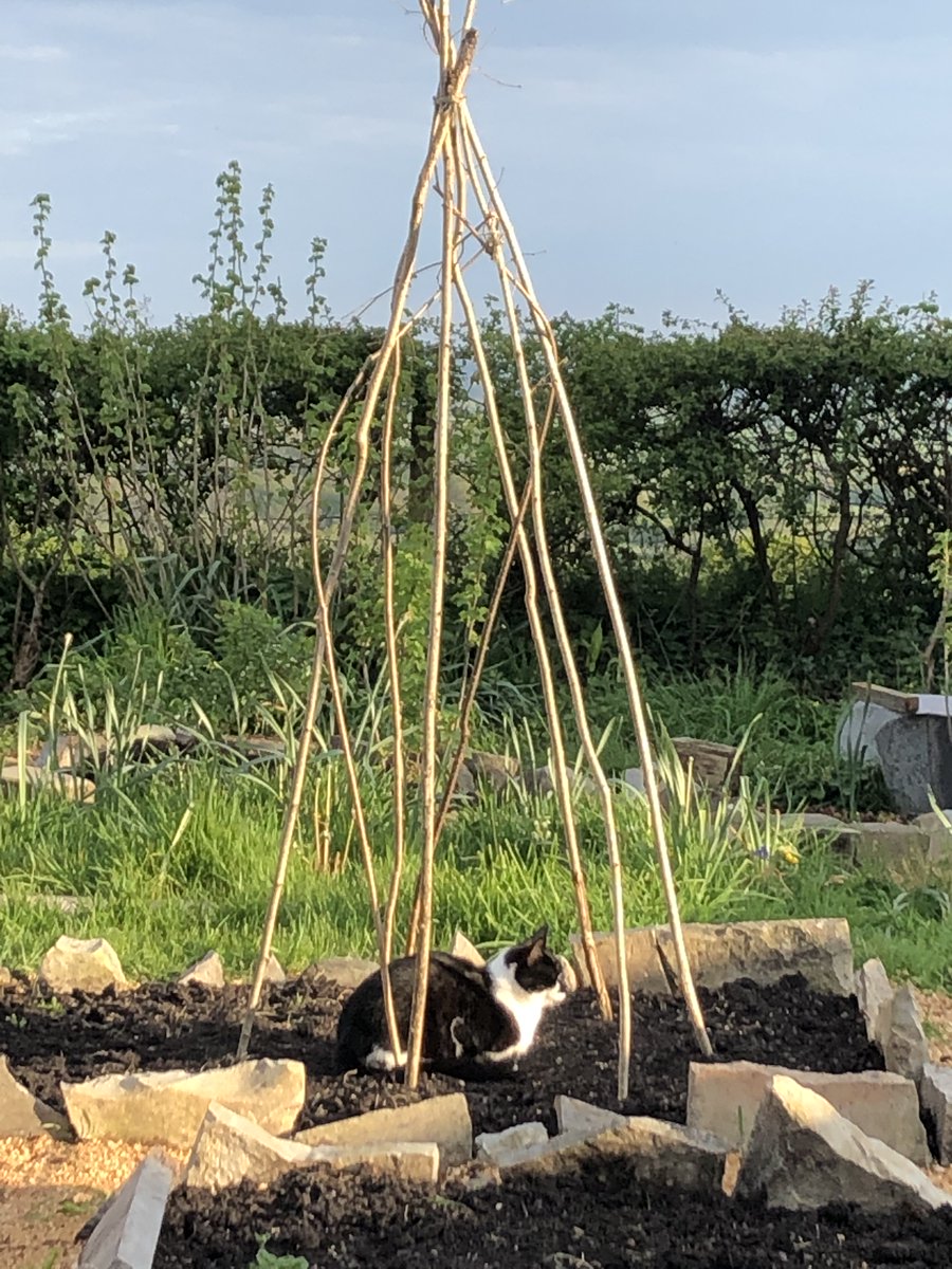 Kirsten Dunst, Melancholia (2011)