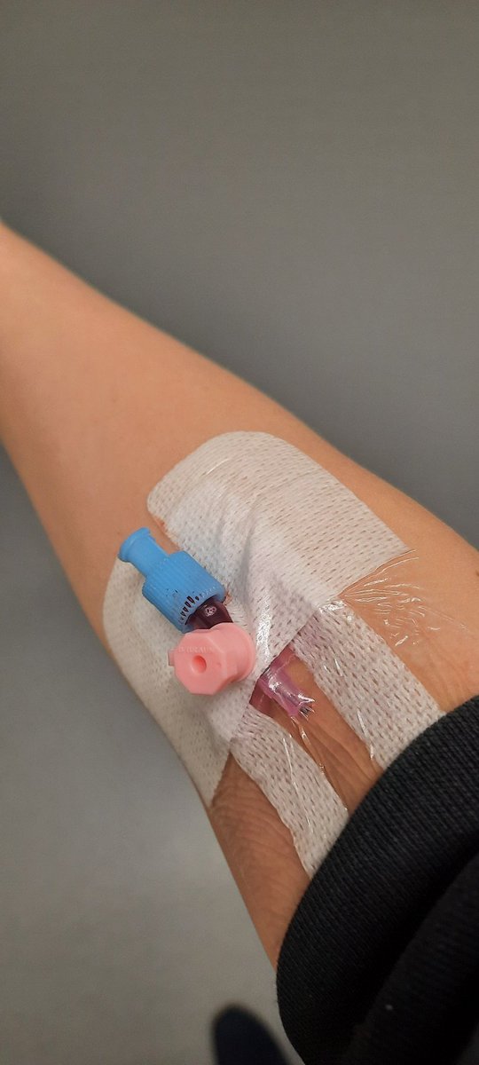 Isabel (Cheshire Cat) tweet media