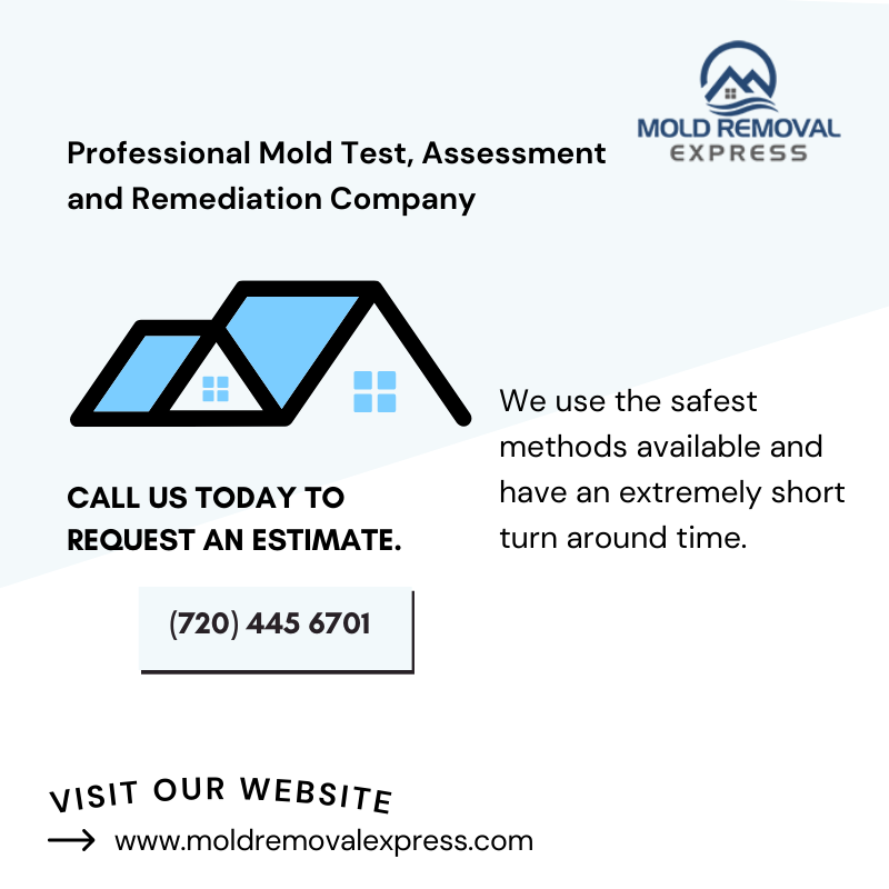 MoldRemovalXP's tweet photo. Book Your Mold Test. Mold Removal Express is the fastest &amp; most affordable black mold removal company in #Colorado &amp; #Wyoming. We use the safest methods available &amp; have an extremely short turnaround time. Contact us today to book an appointment.
#denver #boulder #coloradosprings https://t.co/6ziGqBzIpl