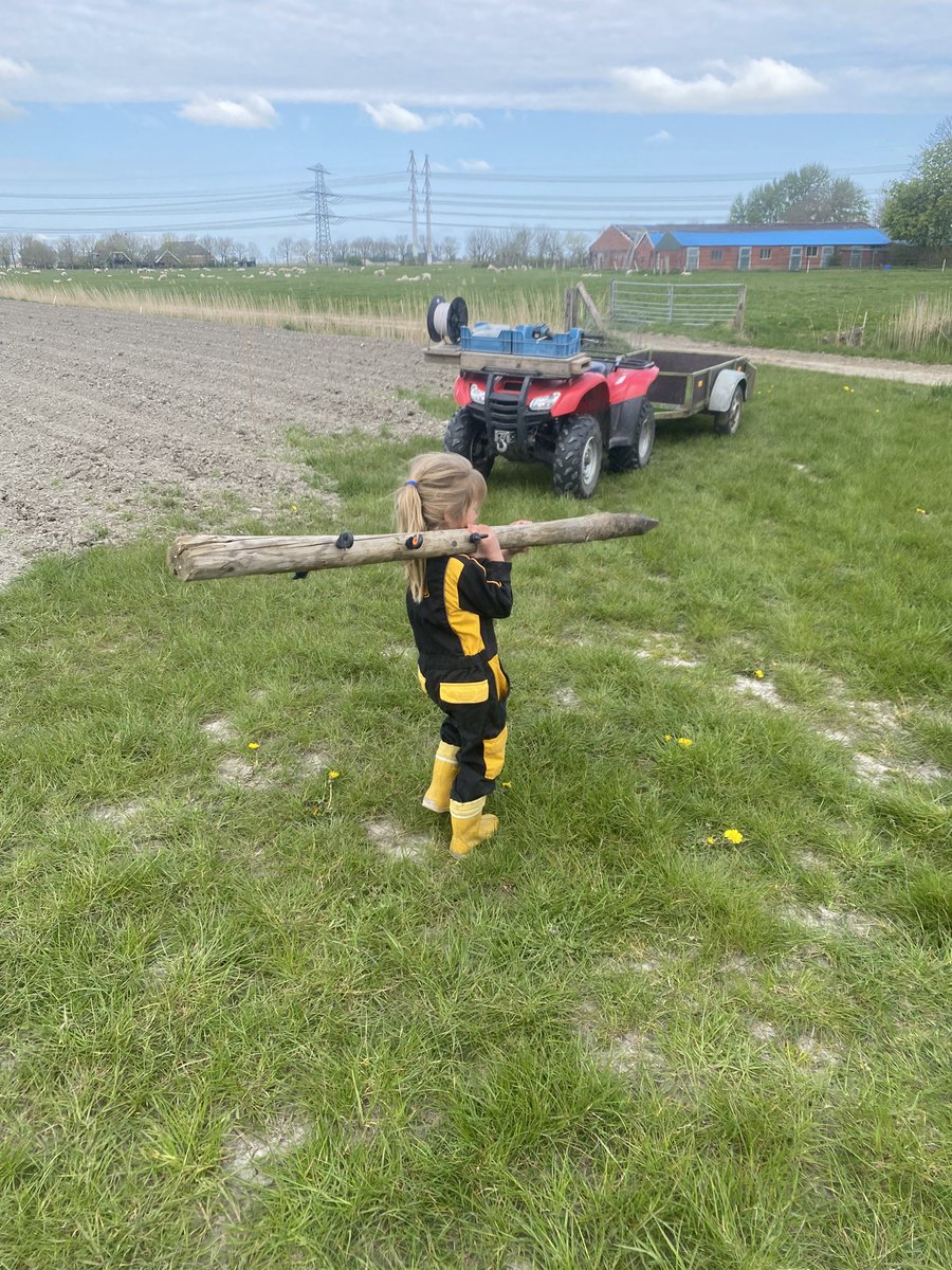 WbOnstaheerd's tweet photo. Vakantietijd. Vandaag extra hulp van jongste dochter (5). Heerlijk! #qualitytime #afrasteren #boerennatuur #liefdevoordeweidevogel #grutto https://t.co/14Y3bZhBce
