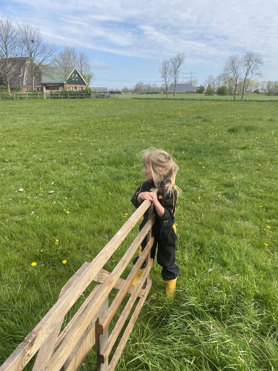 WbOnstaheerd's tweet photo. Vakantietijd. Vandaag extra hulp van jongste dochter (5). Heerlijk! #qualitytime #afrasteren #boerennatuur #liefdevoordeweidevogel #grutto https://t.co/14Y3bZhBce