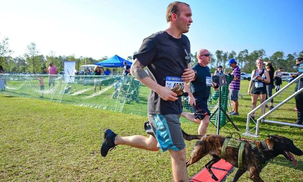 VisitStAugustine tweet media