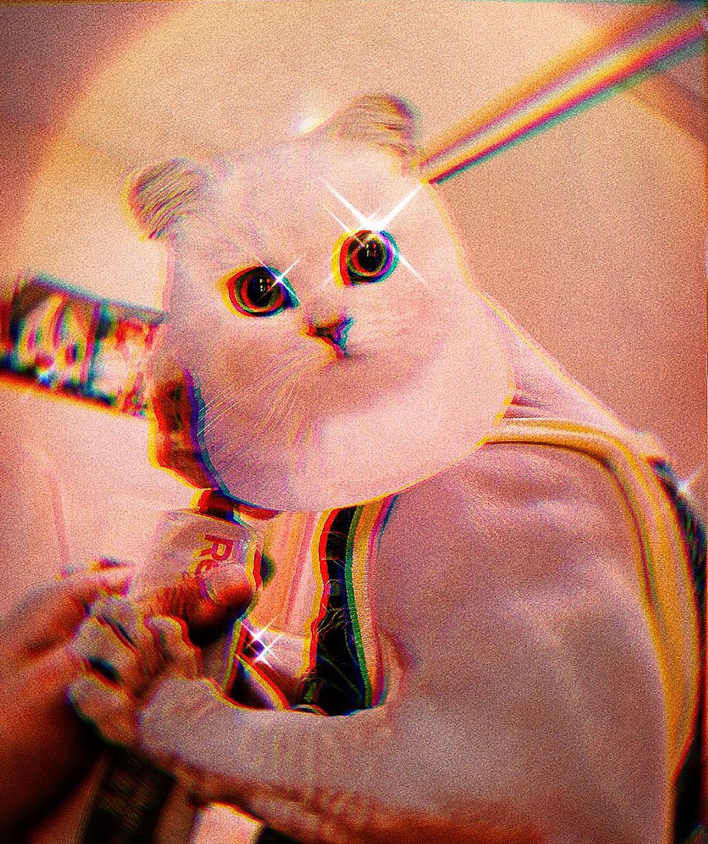 1 retweet = 1 GOLDIE Gesundheits Tipp 🌞😼👍