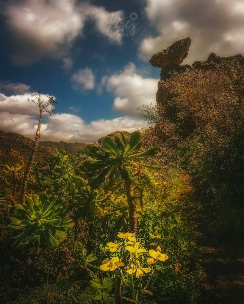 📍Valsequillo, Gran Canaria
Explorando nuevas posiblidades...
 
#earthpix 
#nature
#earthfocus
#discoverearth 
#awesome_photographers
#awesome_earthpix
#awesome_earthpix 
#discoverglobe 
#awesomeglobe 
#instagood 
#earth_deluxe 
#earth_shotz 
#tufotonatgeo
 
#turismoespaña
#t…
