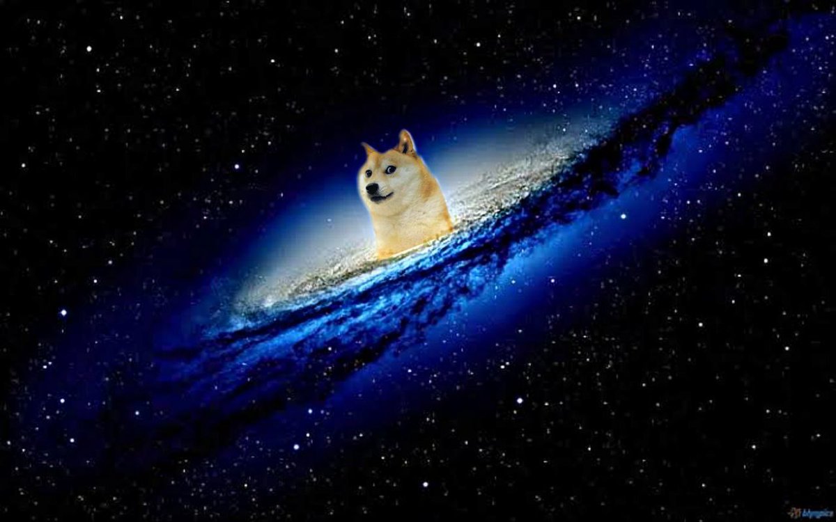 _SpaceXDoge's tweet photo. Did you know that Price in January 1st, 2021 $SHIB Price was worthing .0000000000077usd

That means 1,000usd now would be worth 500M dollars 

Buy $SPACEXD. The best meme coin with low market cap. Moon soon!🚀
#SpaceXDoge #MemeToken #Gems #GemAlert #ShibaInu #ShibaArmy #DogeArmy https://t.co/7xsExkwmPi