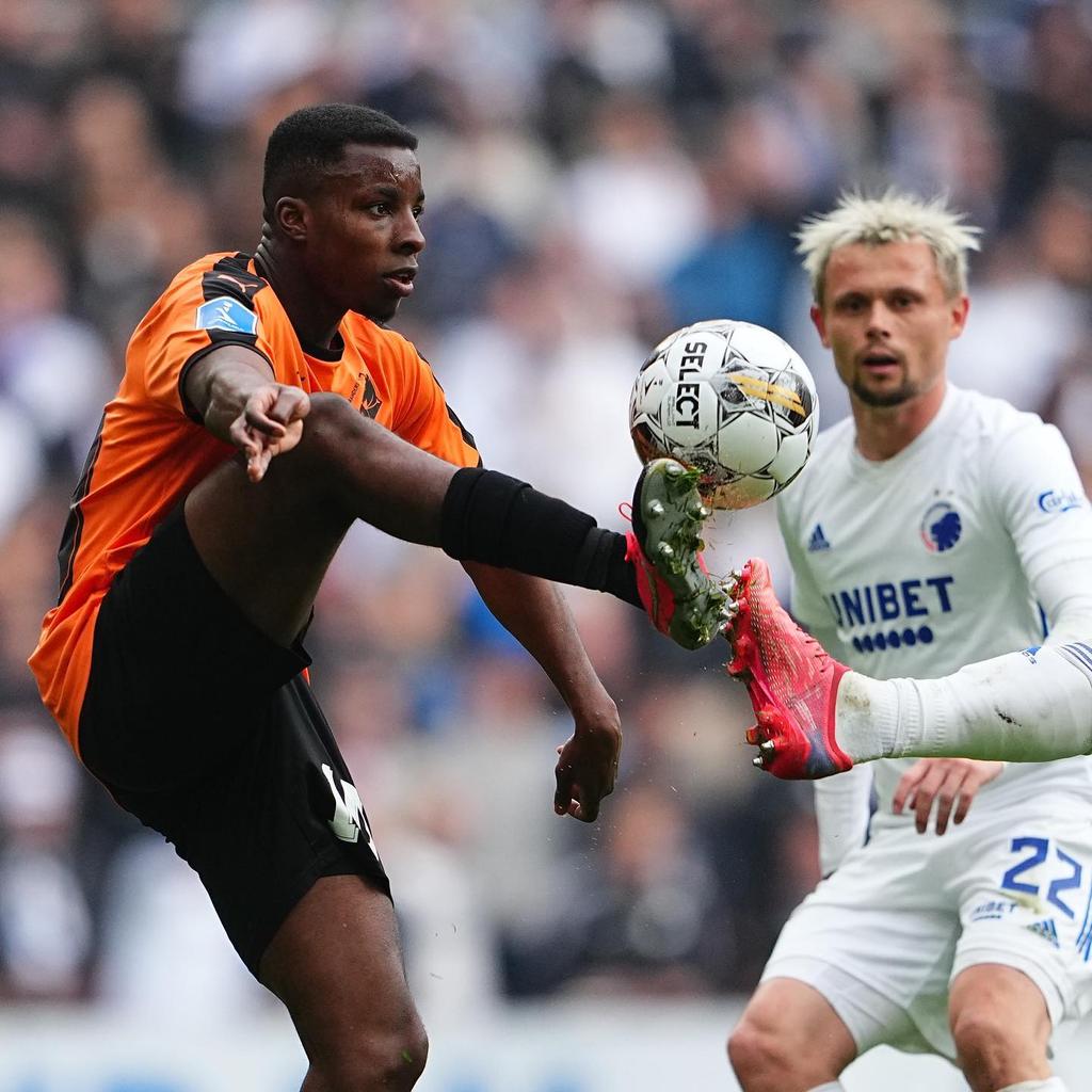 thisisiom's tweet image. How's your touch? 🌝🐴🧡