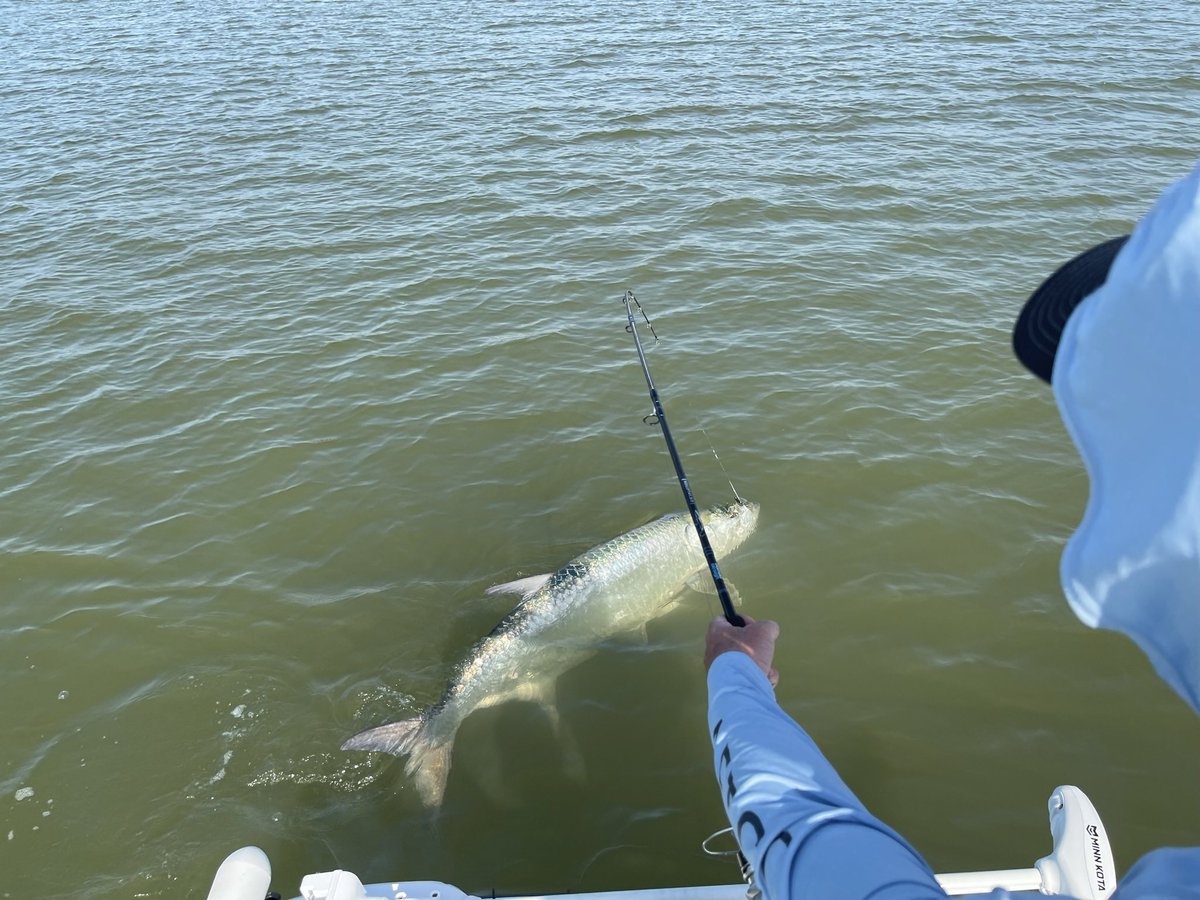 Dingos_fishing's tweet photo. My client caught a huge Tarpon on his first Salt Water fishing experience using a Nomad Design Tackle Vertrex Max 110 in the colour Boo. #fishing #Tarpon #lurefishing #vibing #Florida #Adventure #DingosFishingAdventures #NomadVibeTribe #DomadDesignTackle #Vibing #Vacation https://t.co/SrsBYxae0w