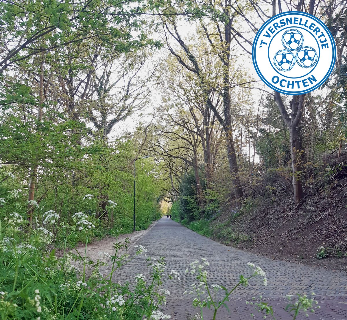 NOG 5 DAGEN TOT DE BERGTOER!
Na bijna drie jaar gaat het dan eindelijk weer gebeuren; de Bergtoer van Ochten kan gereden worden. In 2020 stond er al een parcourswijziging op de planning. Er zijn nieuwe klimmetjes toegevoegd. Weet jij welke klim er op de foto staat afgebeeld?