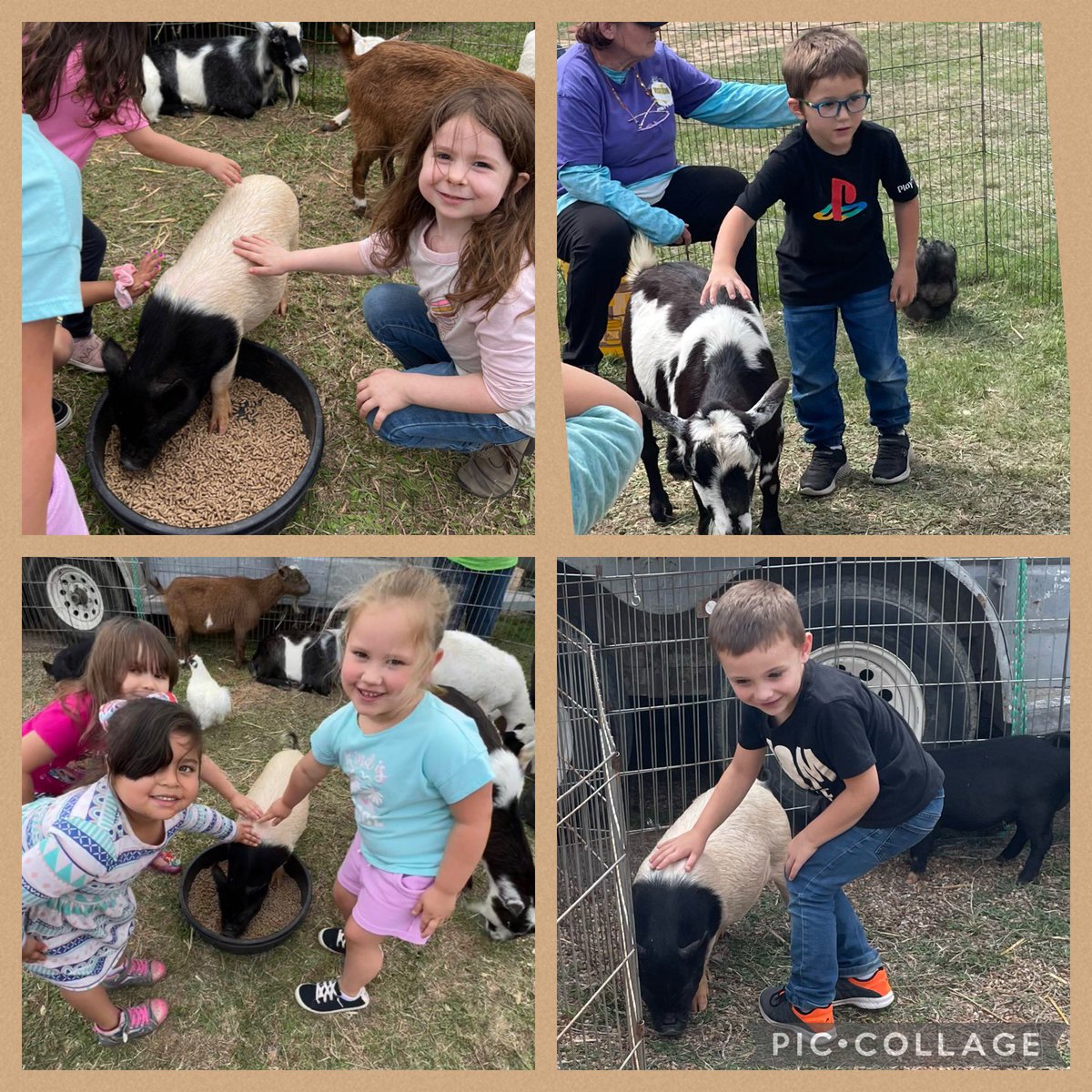 Thank you so much <a href="/granburyisdef/">Granbury ISD Education Foundation</a> for providing grants to fund possibilities like this. Several students at the petting zoo said, “Best day ever!” 💜🏴‍☠️<a href="/granburyisd/">Granbury ISD</a> <a href="/emmaelem/">Emma Roberson Elementary School</a>