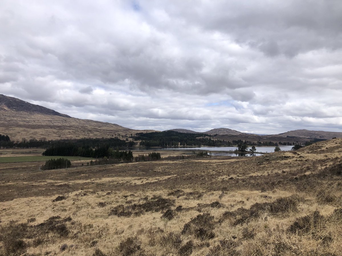 RFMCoaching's tweet photo. Kicking off day 1 @KingsHighland #ultra 

Mountains, bog &amp; woodland combo ✔️ 

Speciality coffee at CP 3 for that caffeine boost #willrunforcoffee 

Huge kudos to all our athletes so far! 

Now to rest, relax &amp; recover before more #running tomorrow. https://t.co/srhhcbpNOF
