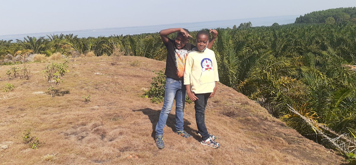 Bugoma Sand Beach Resort Hotel tweet media