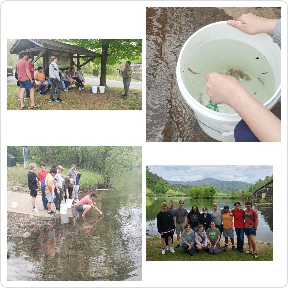 beingjeannie_'s tweet photo. Trout release! #CHSAquaticBiology #CHSAPEnvironmentalScience #raiderscience #raiderstem #Troutintheclassroom @TroutUnlimited @tnwildlife @clevelandhightn https://t.co/3jMIeQoqoG