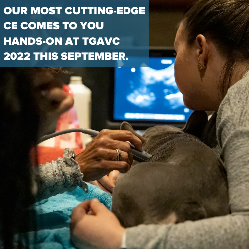 TGAVConference's tweet photo. We're getting closer to registration opening for TGAVC 2022, our beloved, international event that brings cutting-edge ideas to the forefront of veterinary continuing education.

Sign up now to to learn when registration goes live:
https://t.co/p3hJVfeOW6 https://t.co/zWtxlfUsRW