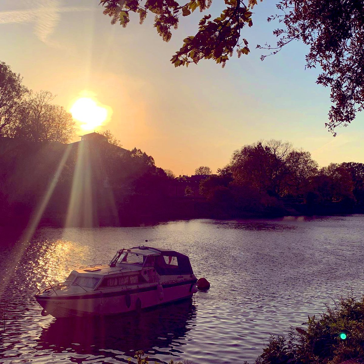 ArubaRed's tweet image. We spent a gorgeous evening at Bingham Riverhouse yesterday celebrating the iconic music photography of Denis O’Regan, bathed in the golden light of the setting sun over the Richmond Thames! Incredible captures… Bob Marley, David Bowie, Amy Winehouse, The Stones &amp;amp; so many more💗