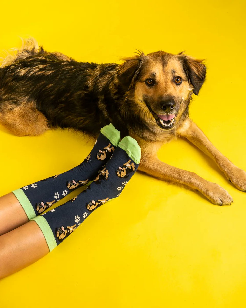 shootpronto's tweet photo. PRO(nto) tip: glow-up your shoot with a model. pick a furry friend🐶 or just a 'body part' model ✌️and get *chef's kiss*👌 worthy content.
#ecomm #productphoto #cpg #d2c #ecommerce #shoot #shopify #productphotography #localyyc #smallbusinessowner #amazonmerchants #petproducts https://t.co/KnCogmGDGS