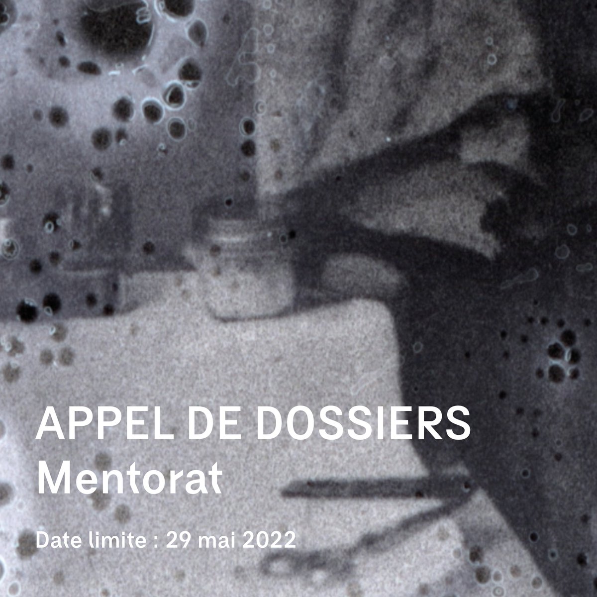 Vidéographe tweet media