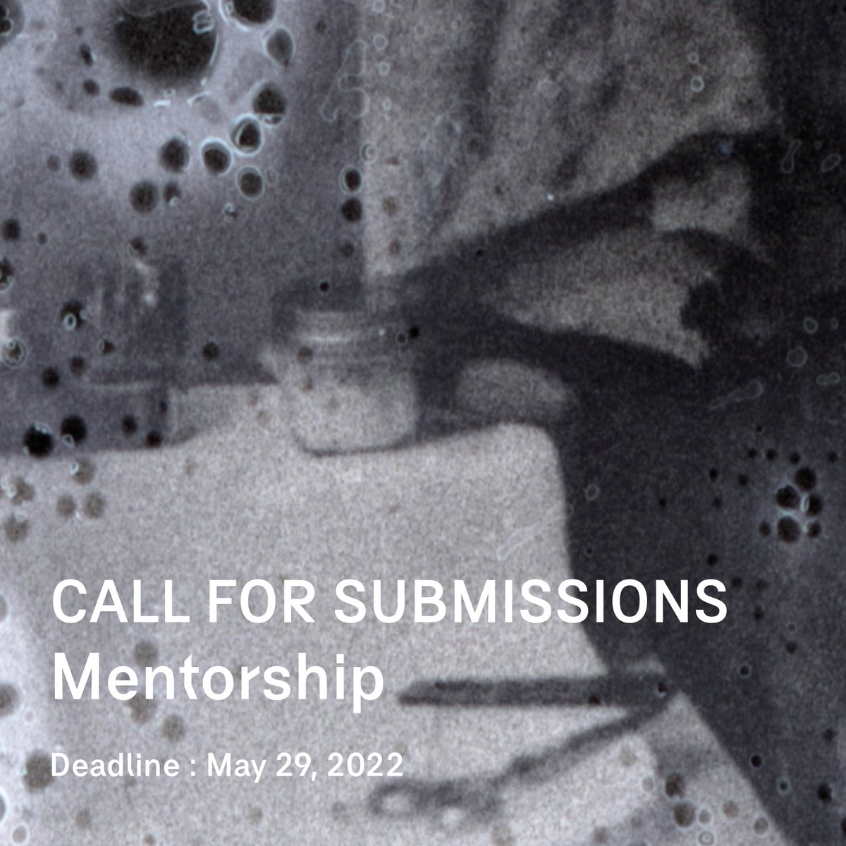 Vidéographe tweet media