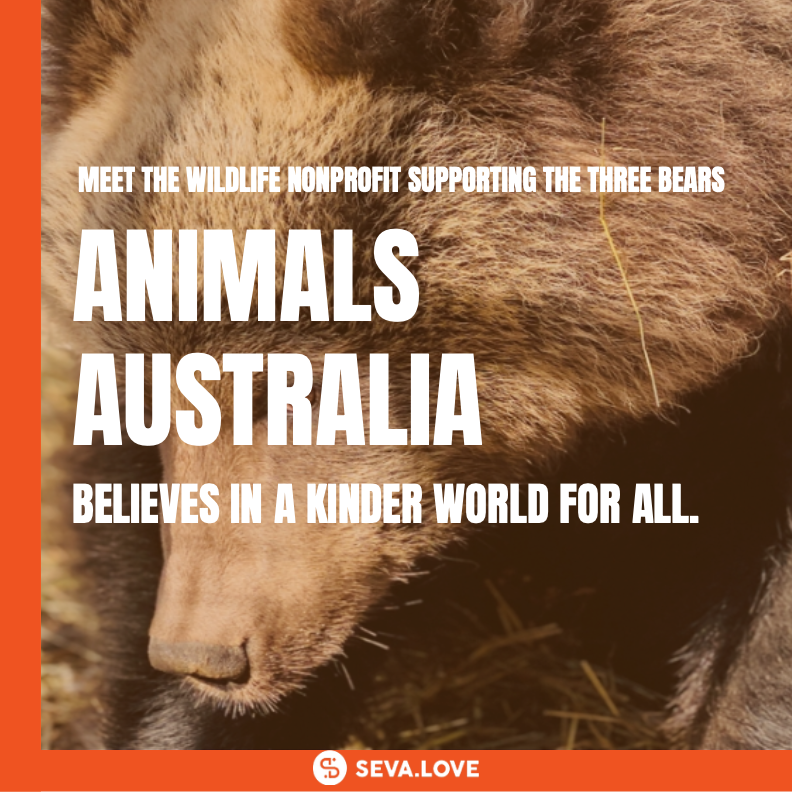 Seva.Love tweet media