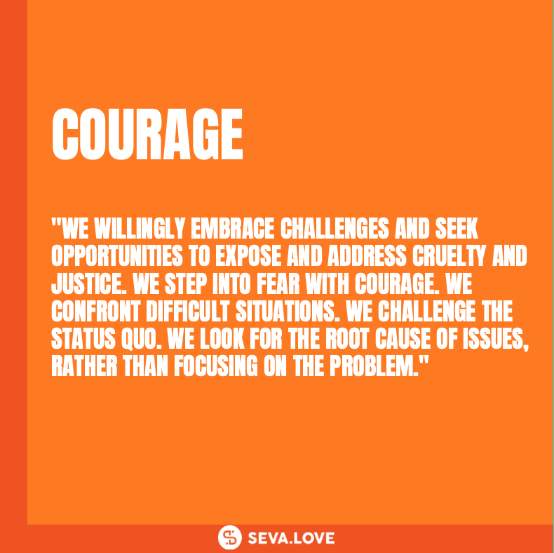 Seva.Love tweet media