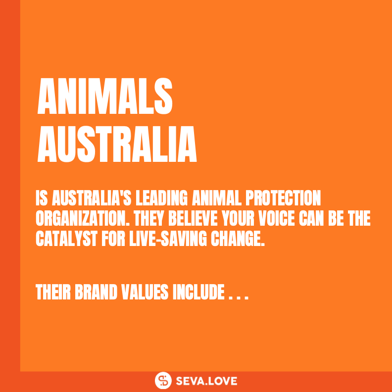 Seva.Love tweet media