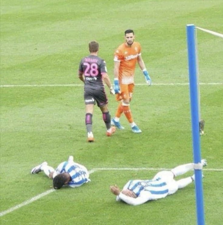 BenjaminHaigh5's tweet photo. @LeoHobson3 @Hobbo7576 Typical dog shaggers after Leeds go through em. https://t.co/YczaGylfnk