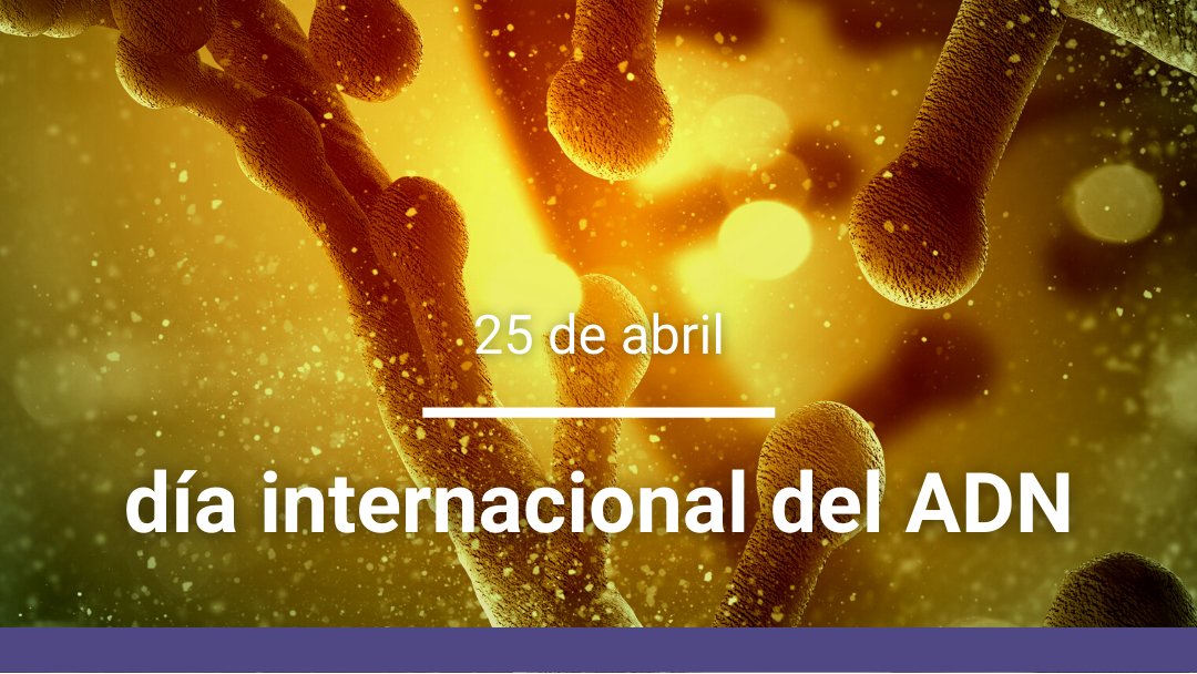HeritasArg's tweet photo. 🔬🔎 El 25 de abril se celebra uno de los hallazgos científicos más importantes del Siglo XX: El descubrimiento del #ADN y los avances en ciencia que su comprensión ha hecho posible.

¡Feliz día del ADN! https://t.co/A38fDaEk2V