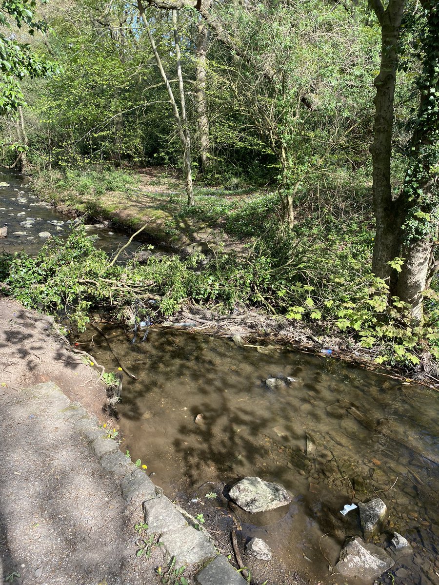 MayesStuart's tweet photo. @EnvAgency walking through Grace Dieu woods noticed the brook is blocked in a few places with fallen trees which need attention before it floods houses again . https://t.co/Bpczl556Hv