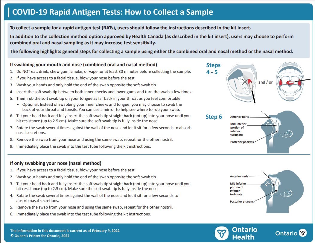 simplesarahbear's tweet photo. Hey hey NB! Here is some info on how to use your POCT most effectively, since you won't find this on @Gov_NB website! You're welcome @premierbhiggs @ShephardDorothy #nbpoli https://t.co/VTrYgoPGDW