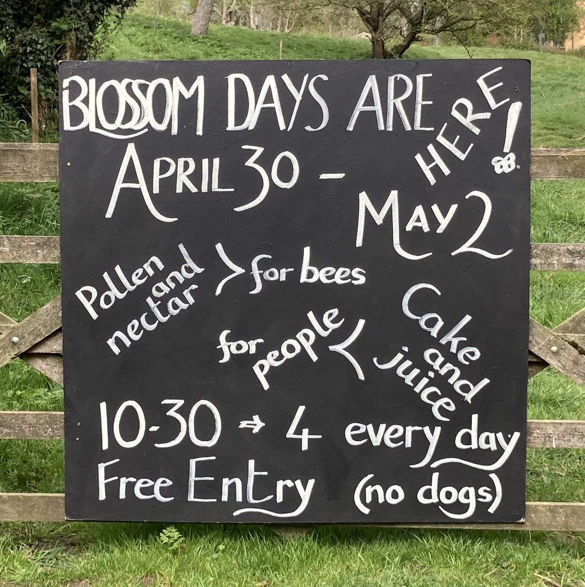 OPEN WEEKEND in #chippingcampden #cotswolds 🌳🍎🌸<a href="/GlosCC/">Gloucestershire CC</a> @CotswoldsAONB @CPREGloucs