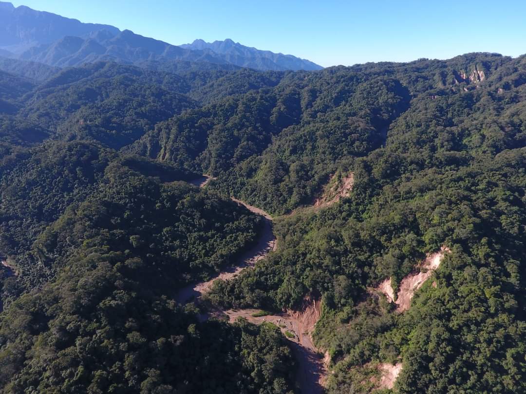 El Parque Nacional Calilegua, en Jujuy, es uno de los sitios de Alta Importancia para la Conservación del #Yaguareté en nuestro país.