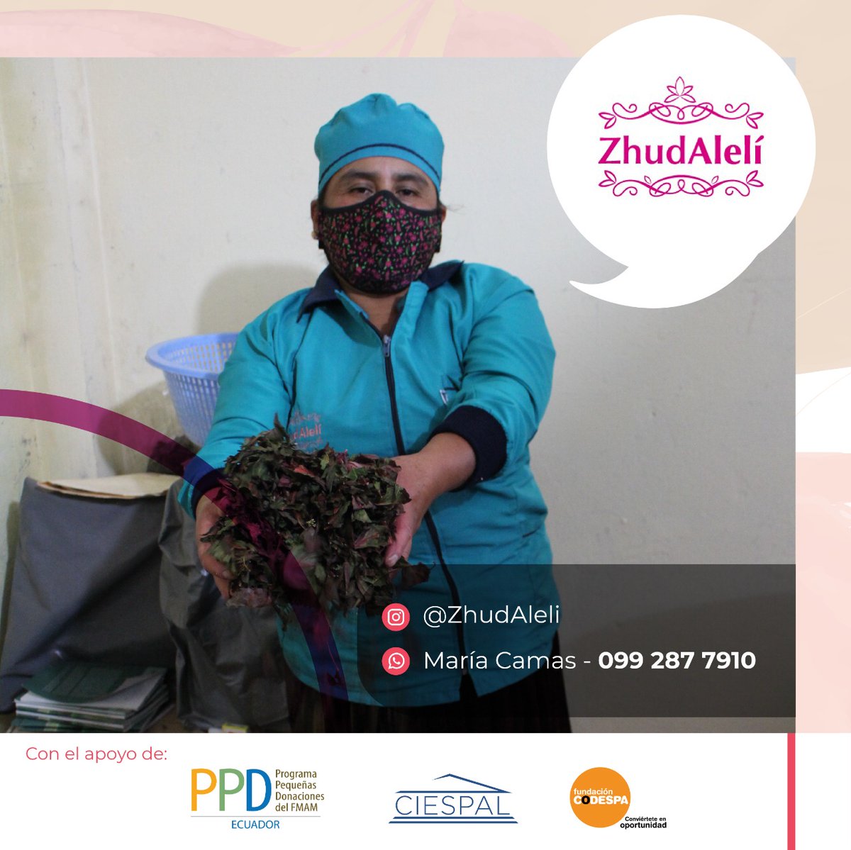 ciespal's tweet photo. En el marco del trabajo que realiza @PPDEcuador - @greencrowds y en el que apoya #CIESPAL y @CODESPA, los invitamos a conocer más sobre ZhudAlelí, té de plantas medicinales del biocorredor Cóndor Chuquiragua Cañari.
26 abr. 18h00, @EcuadorTV #MiPropioJefe

Contacto 👉099 287 7910 https://t.co/rvyw8ojjur