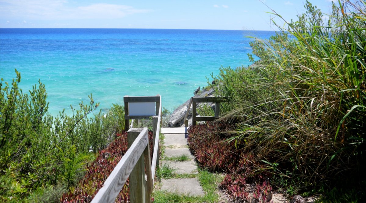 trips_trade's tweet photo. Do you like the view from this beachside Bermuda studio? Now you can book direct with $FRAX or $USDC through TripsTrade!

https://t.co/BrB98NXCA9 https://t.co/0NCx9pMl39