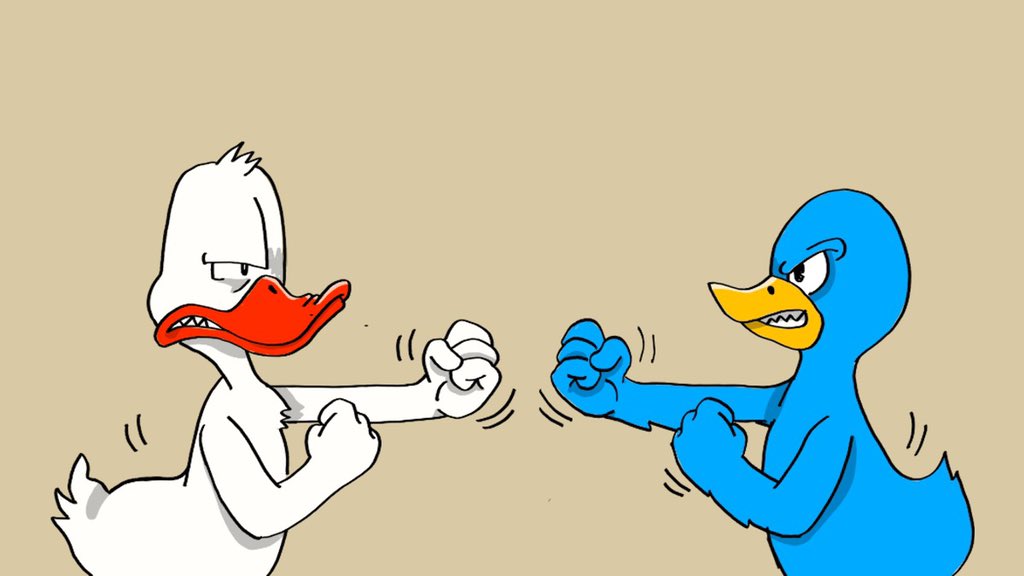 Nonconformist Ducks tweet media