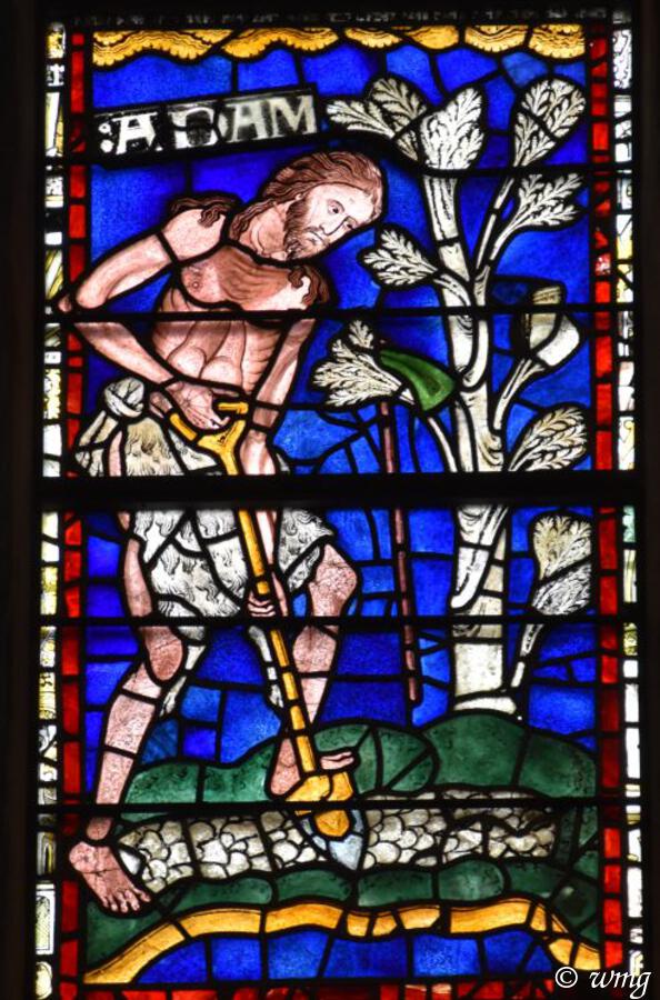 Today #Canterburycathedral, for the first time. Wonderful stained glass from the 12th century.
Here, the 'poor' Adam at work